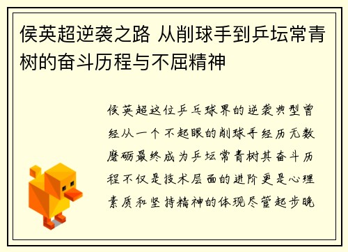 侯英超逆袭之路 从削球手到乒坛常青树的奋斗历程与不屈精神